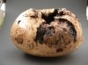Allan Joicey: Woodturning