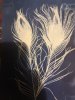 Burnsy: Woodturning (12)