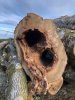 burnsy: woodturning (5)