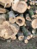 burnsy: woodturning (7)