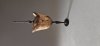 Gary Lowe: Woodturning (3)