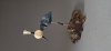 Gary Lowe: Woodturning (9)