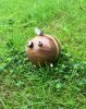 Len Shield: Woodturning (2)