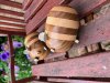 Len Shield: Woodturning (4)