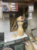 Martin Stacey: Woodturning (2)