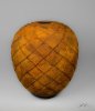 Pat Carroll: Woodturning