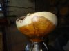 Patrick Lindsay: Woodturning (5)