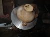 Patrick Lindsay: Woodturning (13)