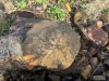 Phil Irons: Woodturning (9)