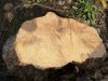 Phil Irons: Woodturning (11)